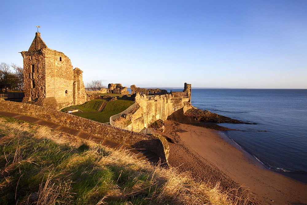 St. Andrews Castle and Castle Sands from The Scores at sunrise, Fife, Scotland, United Kingdom, Europe