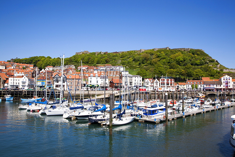 Yachts in the harbour and Castle Hill, Scarborough, North Yorkshire, Yorkshire, England, United Kingdom, Europe