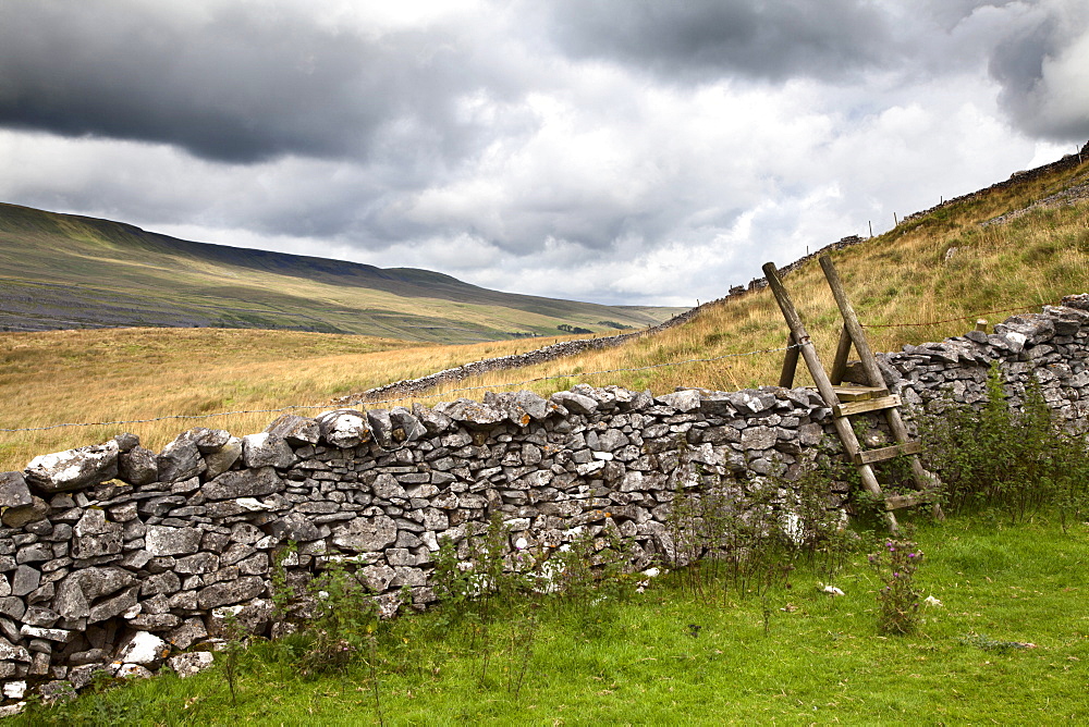 Dry stone wall and ladder stile at Twisleton Scar near Ingleton, Yorkshire Dales, North Yorkshire, Yorkshire, England, United Kingdom, Europe