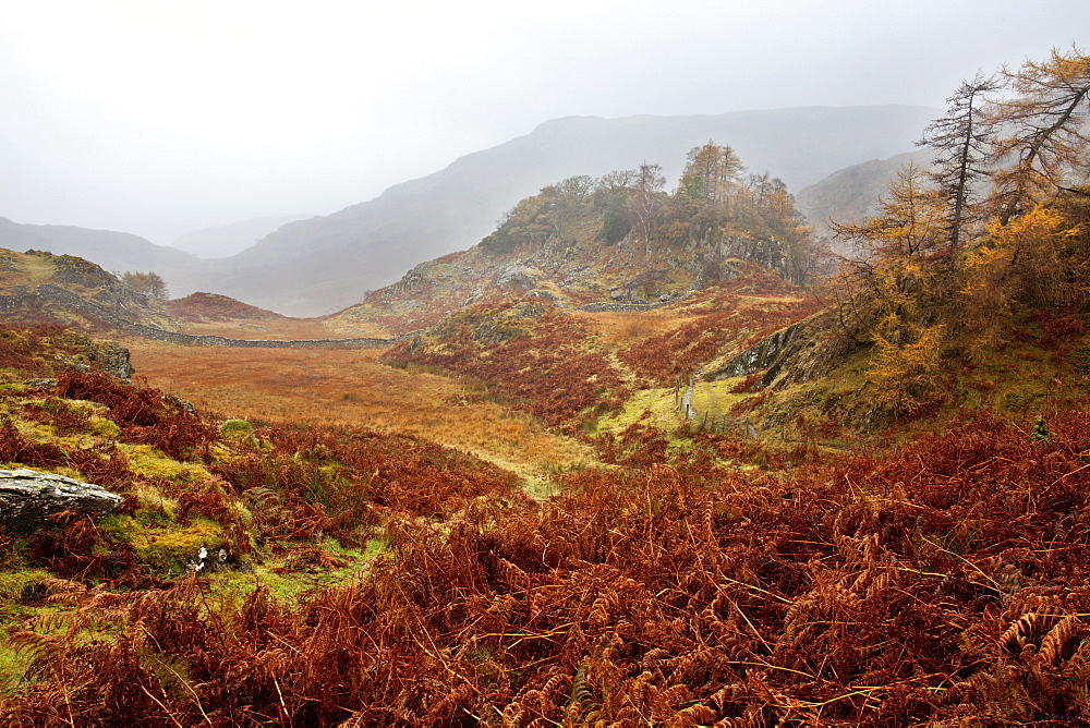 Castle Crag in the mist near Grange, Borrowdale, Lake District National Park, Cumbria, England, United Kingdom, Europe 