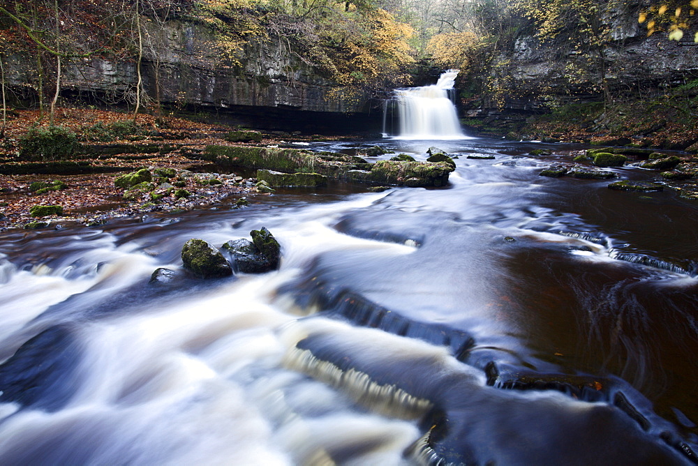 West Burton Waterfall in autumn, Wensleydale, North Yorkshire, England, United Kingdom, Europe 