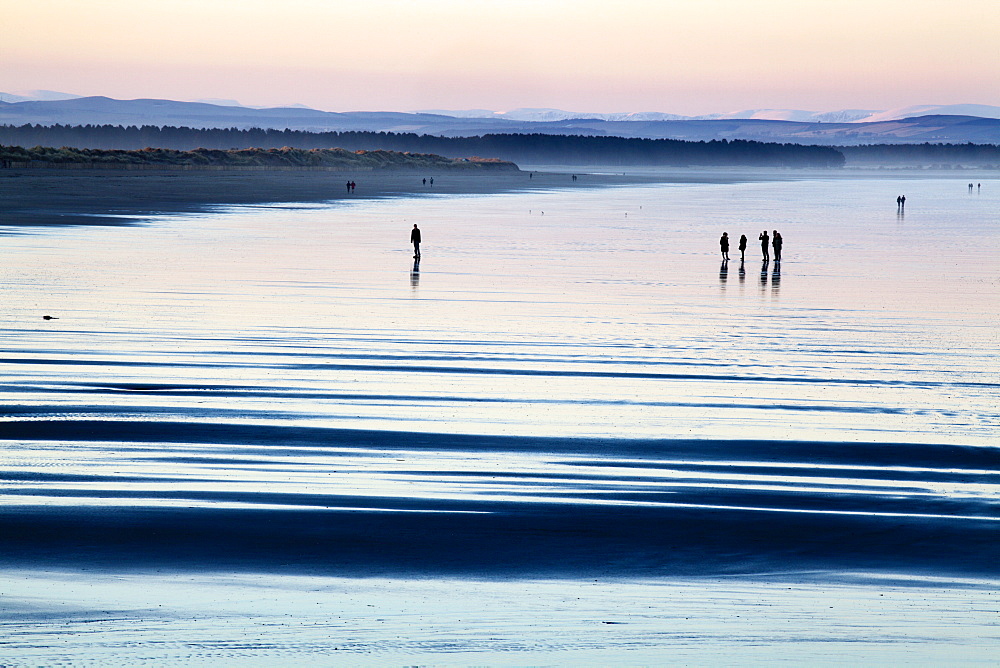 Silhouetted figures on the West Sands at dusk, St Andrews, Fife, Scotland, United Kingdom, Europe 