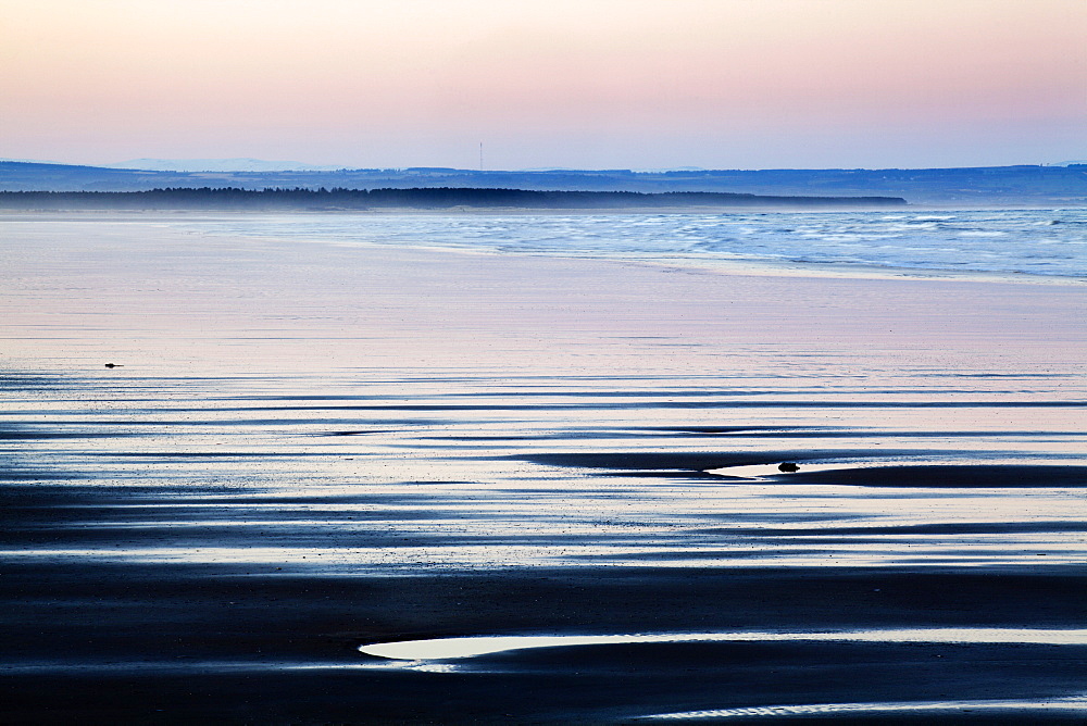 The West Sands at dusk, St Andrews, Fife, Scotland, United Kingdom, Europe 