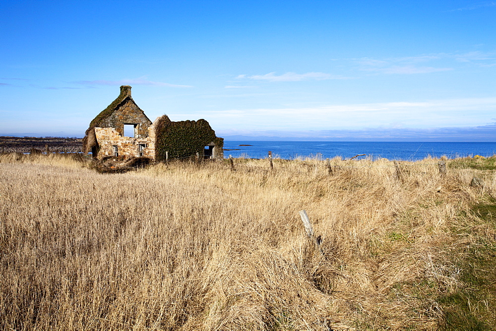 Ruined building on the Fife Coastal Path near Boarhills, Fife, Scotland, United Kingdom, Europe