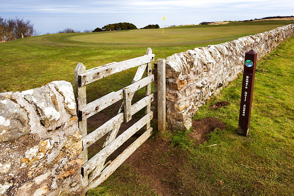 Links Golf Course on the Fife Coastal Path near Boarhills, Fife, Scotland, United Kingdom, Europe