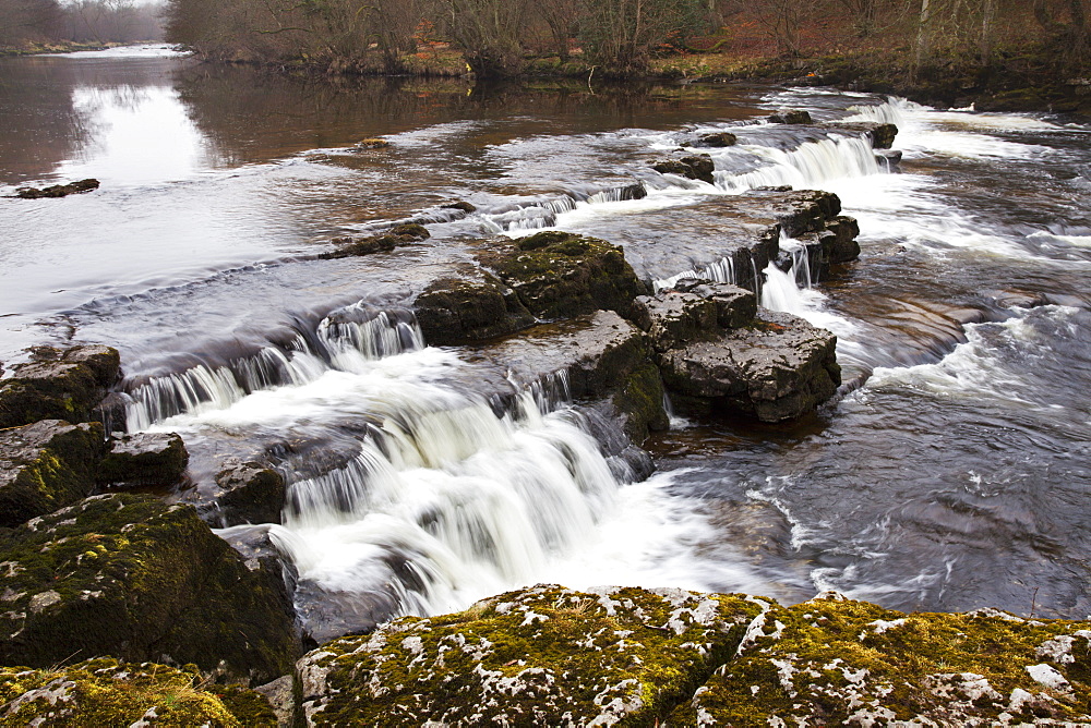 Redmire Force on the River Ure, Wensleydale, Yorkshire Dales, Yorkshire, England, United Kingdom, Europe 