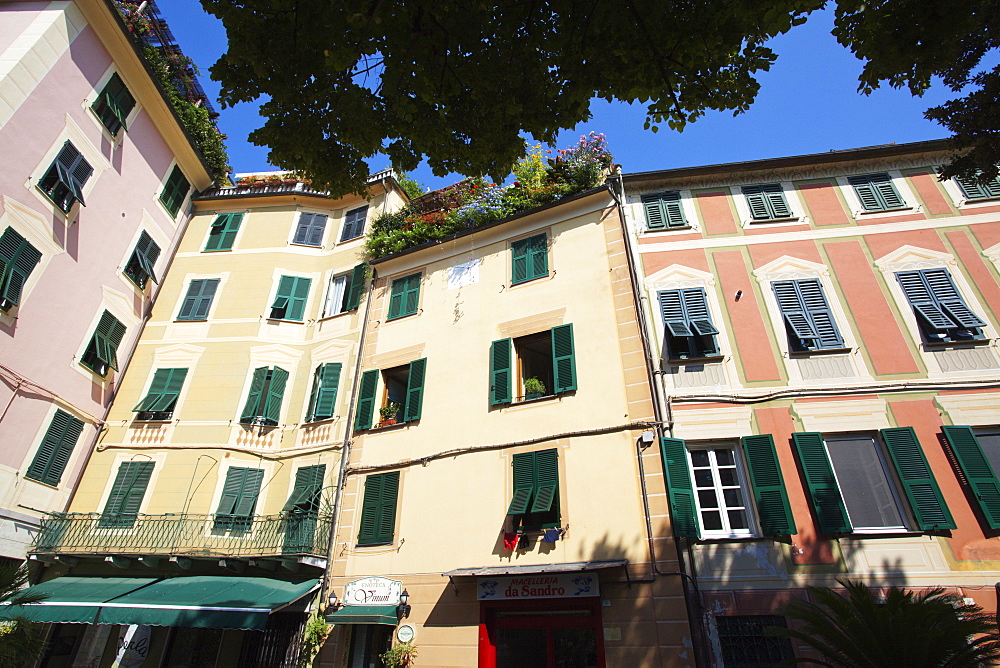 Colourful buildings in the Old Town at Levanto, Liguria, Italy, Europe