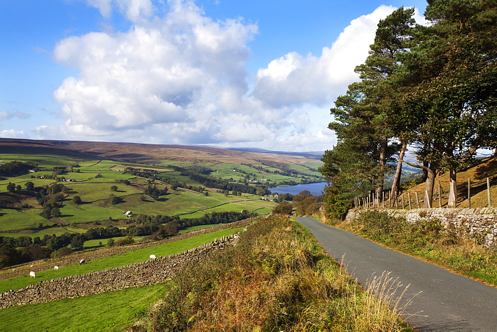 Gouthwaite Reservoir from Wath Lane, Pateley Bridge, North Yorkshire, Yorkshire, England, United Kingdom, Europe 