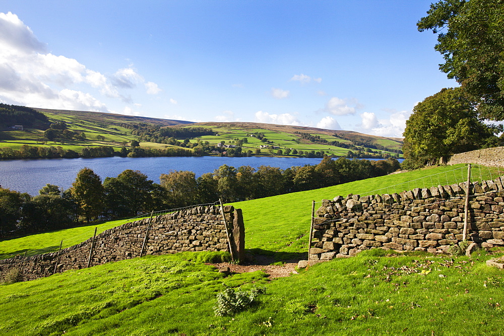 Gouthwaite Reservoir from the Nidderdale Way ,Wath, North Yorkshire, Yorkshire, England, United Kingdom, Europe