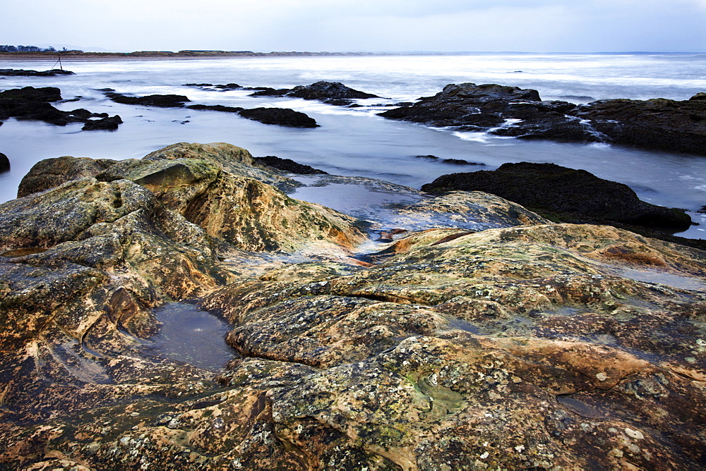 Rocky shoreline, St. Andrews, Fife, Scotland, United Kingdom, Europe 