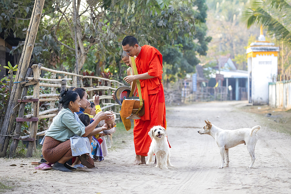 Local women giving rice offering to Buddhist monks, early morning, Don Daeng island, Mekong River, Muang, near Pakse, Champasak Province, Laos