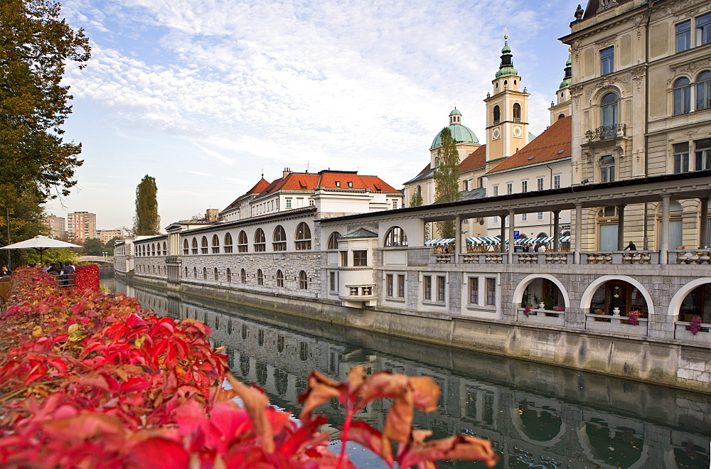 Riverside market halls and the Cathedral of St. Nicholas on the Ljubljanica River, Ljubljana, Slovenia, Europe