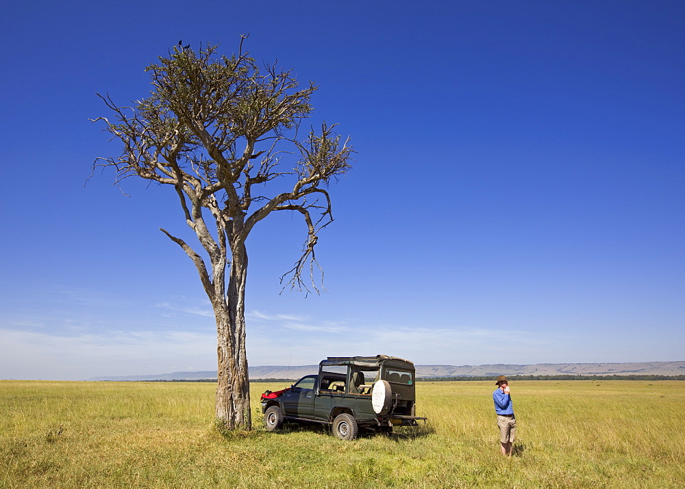 A peaceful picnic stop in the Masai Mara, Kenya, East Africa, Africa