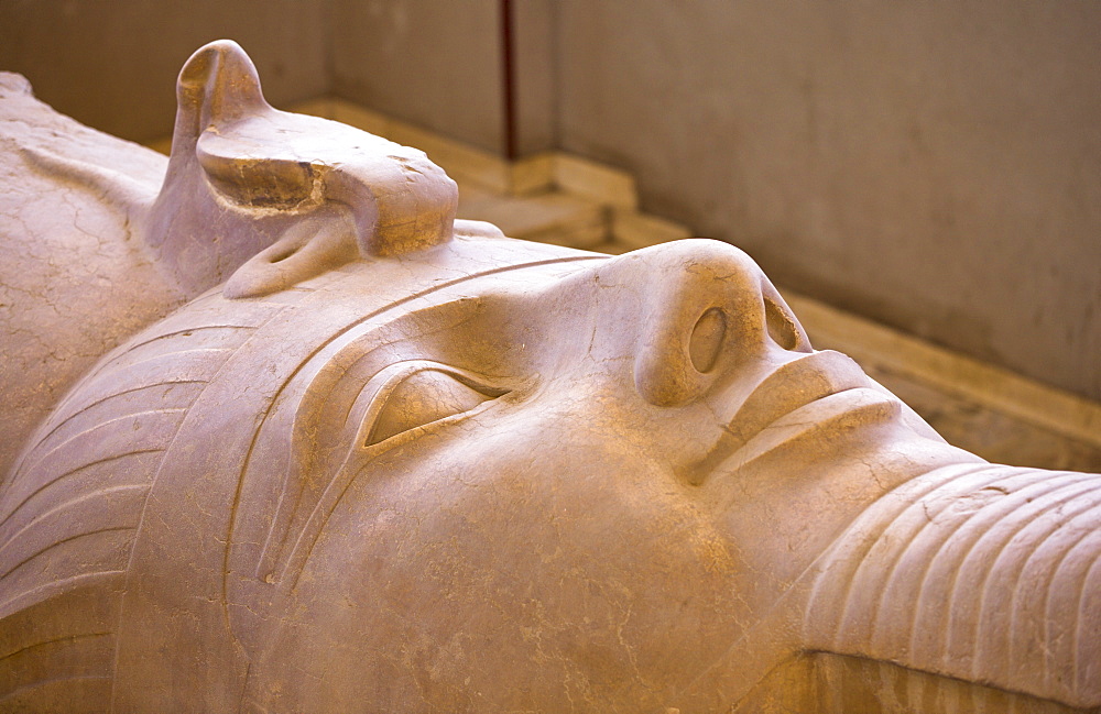 The face of the Colossus of Ramesses II at Memphis, Egypt, North Africa, Africa