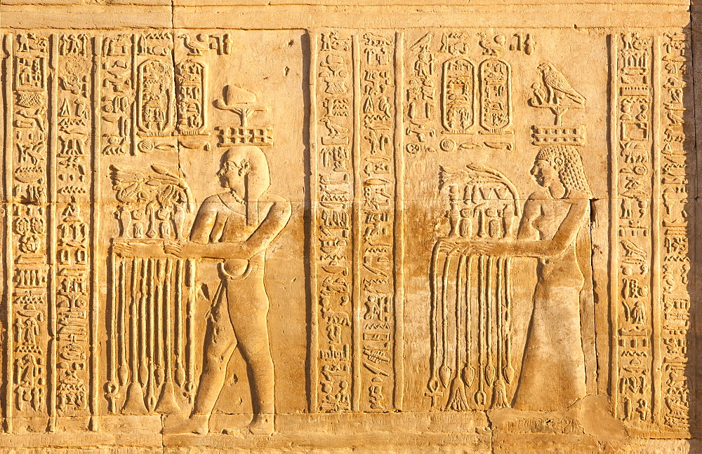 Relief at the twin Temple of Sobek and Haroeris, Kom Ombo, Egypt, North Africa, Africa