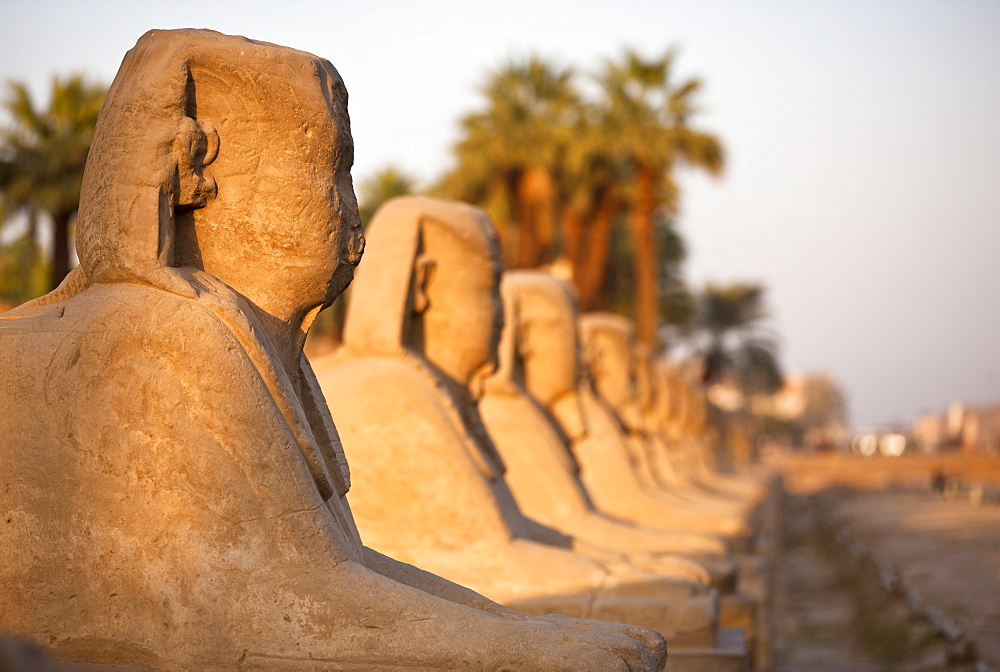 Luxor Temple, Luxor, Thebes, UNESCO World Heritage Site, Egypt, North Africa, Africa