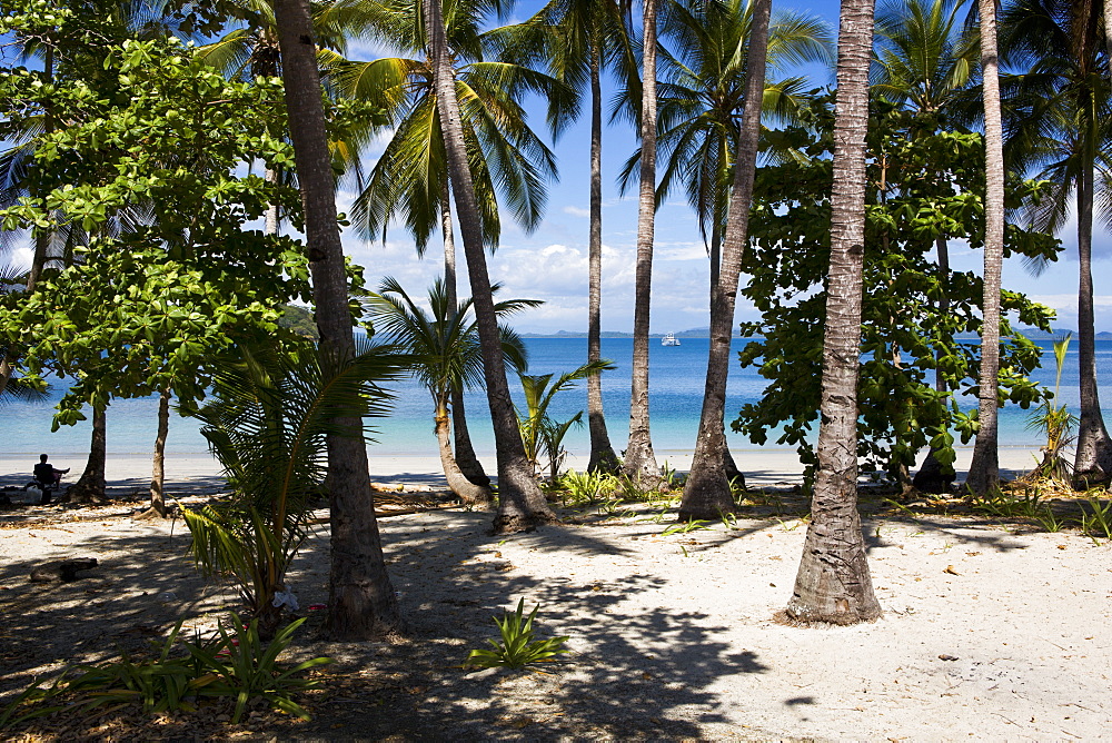 A remote, palm covered island in Chirique Province, Panama, Central America