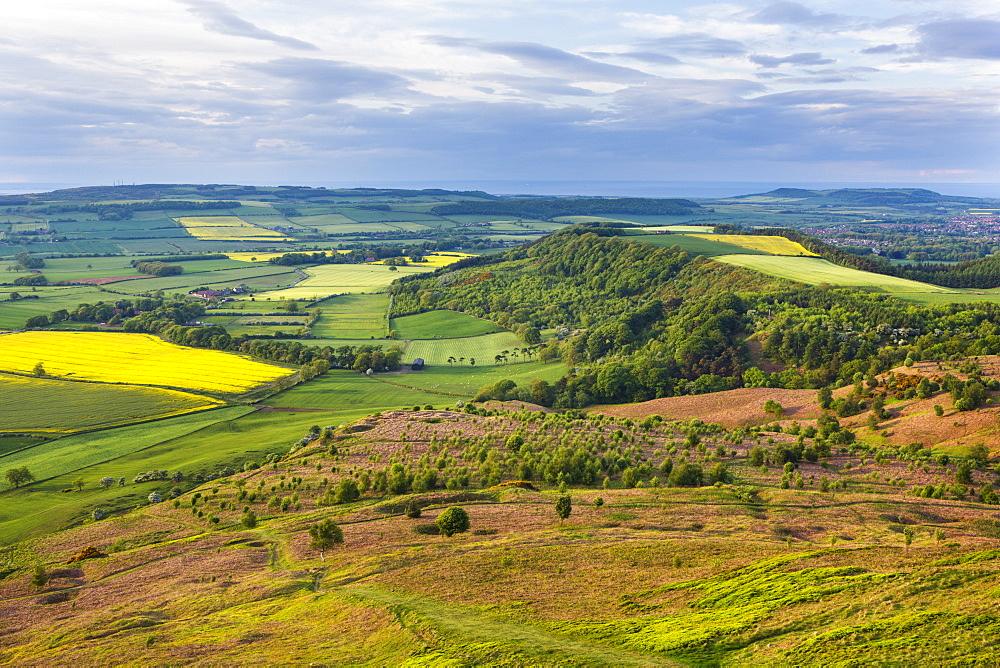 Looking towards Teesside from the top of Roseberry Topping, Great Ayton, North Yorkshire, Yorkshire, England, United Kingdom, Europe