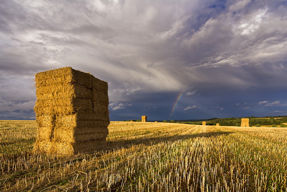 Rainbow and stormy clouds over hay bales, Bramham, West Yorkshire, Yorkshire, England, United Kingdom, Europe