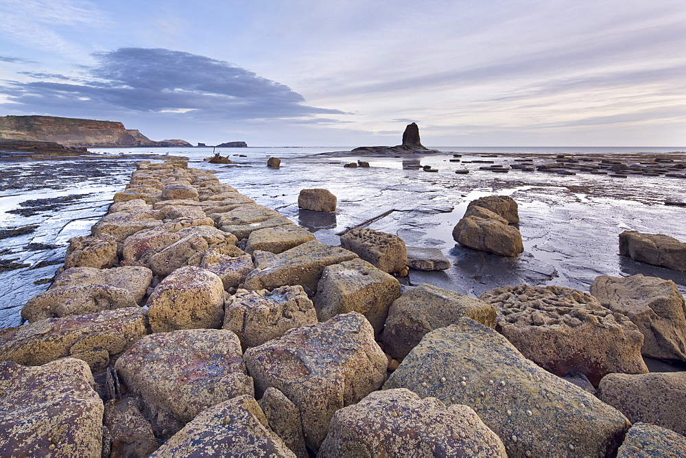 Barnacle encrusted rocks with Black Nab, Saltwick Nab and the wreck of Admiral von Tromp, Saltwick Bay, North Yorkshire, Yorkshire, England, United Kingdom, Europe