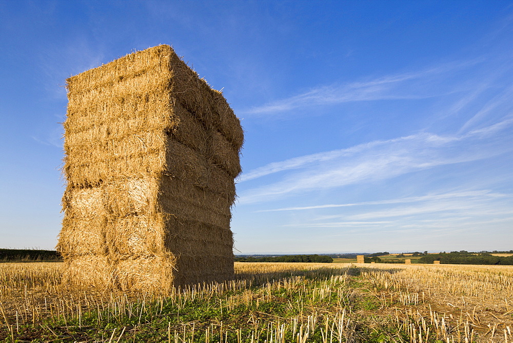 Hay bales stacked high in West Yorkshire, Yorkshire, England, United Kingdom, Europe