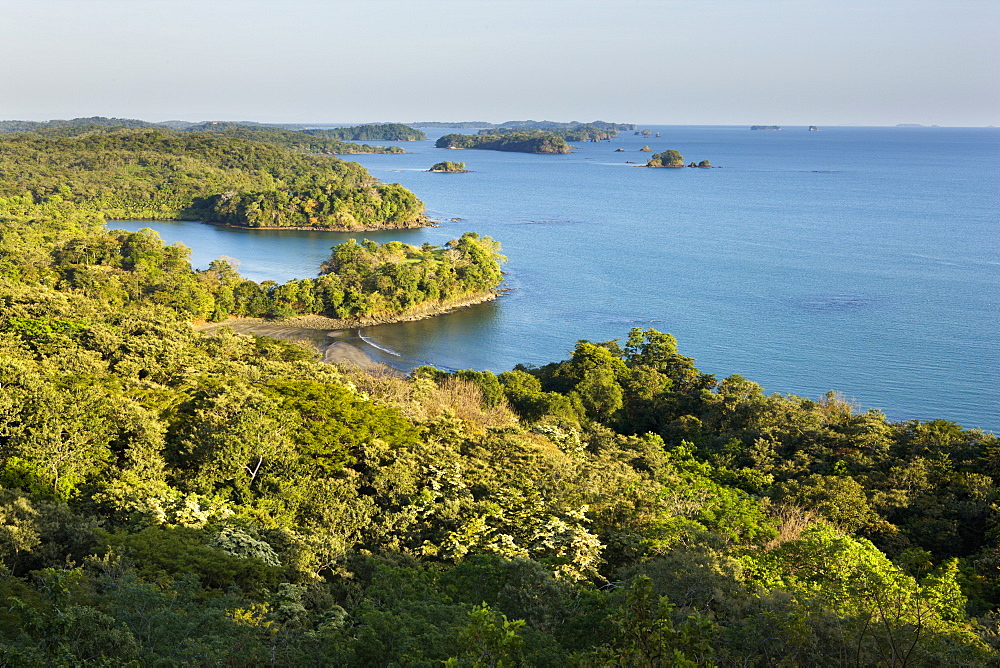 Thick vegetation on Boca Chica island in the Chiriqui Marine National Park, Panama, Central America