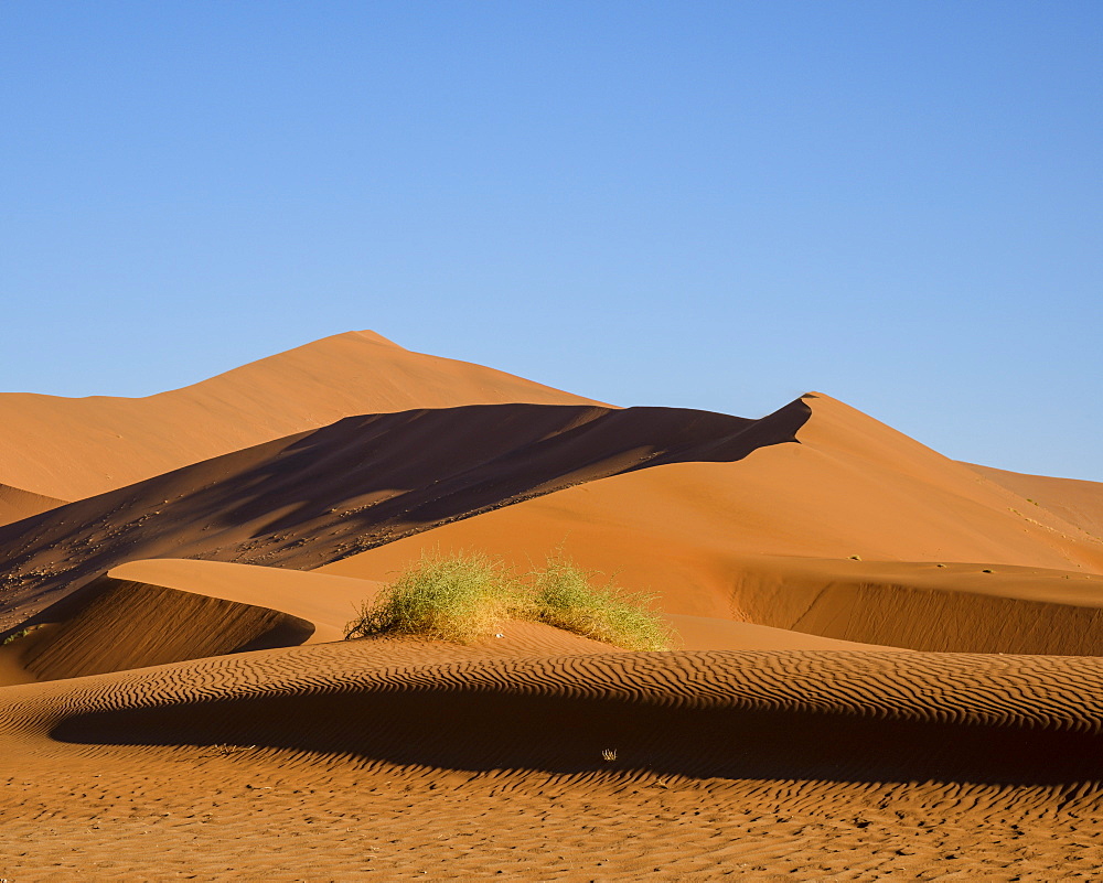 Looking towards Big Daddy and Mummy dunes at Deadvlei, Namib Naukluft, Namibia, Africa