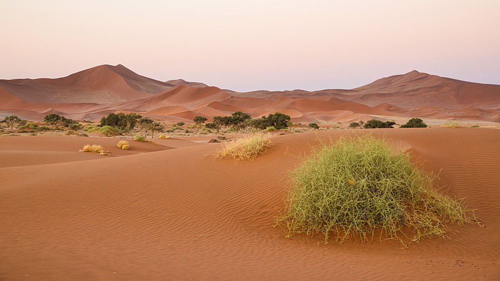 Soft pinks at dusk, Sossusvlei, Namib Naukluft, Namibia, Africa