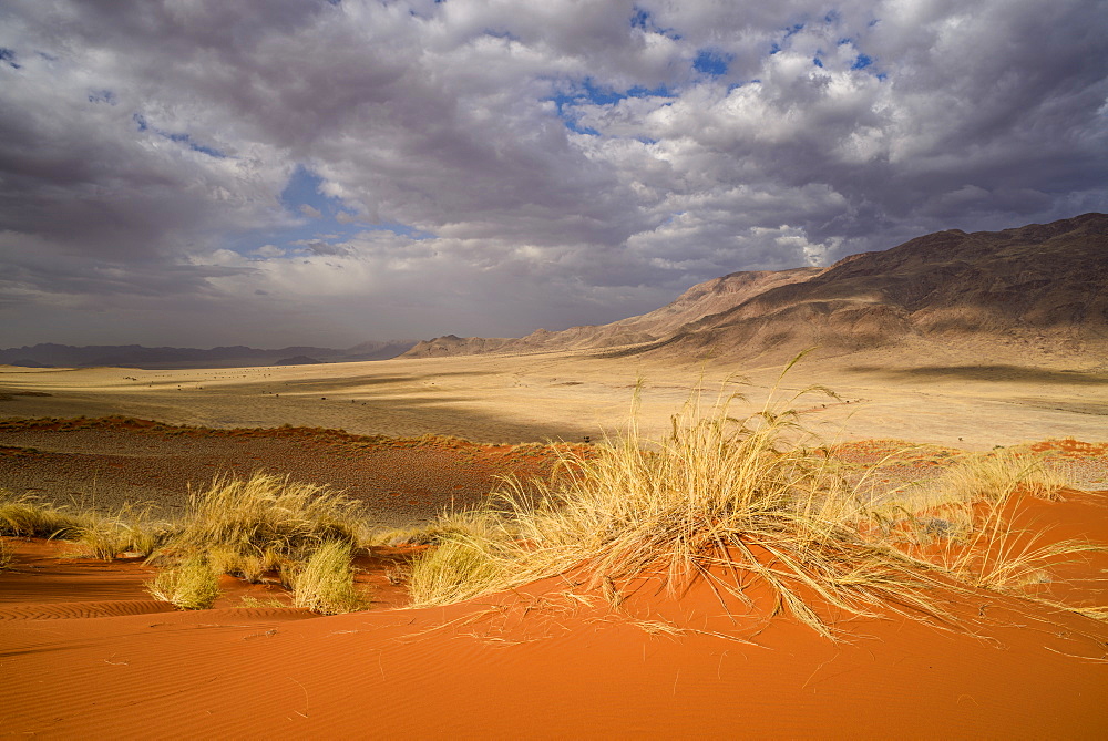 Brooding clouds over the vivid red dunes of NamibRand, Namib Desert, Namibia, Africa