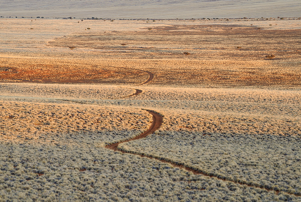 Early morning light on the track through the plains of NamibRand Nature Reserve, Namib Desert, Namibia, Africa 