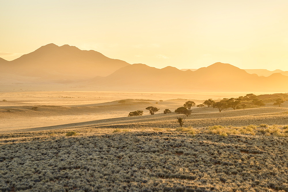 Sunrise in the NamibRand Nature Reserve, Namib Desert, Namibia, Africa 