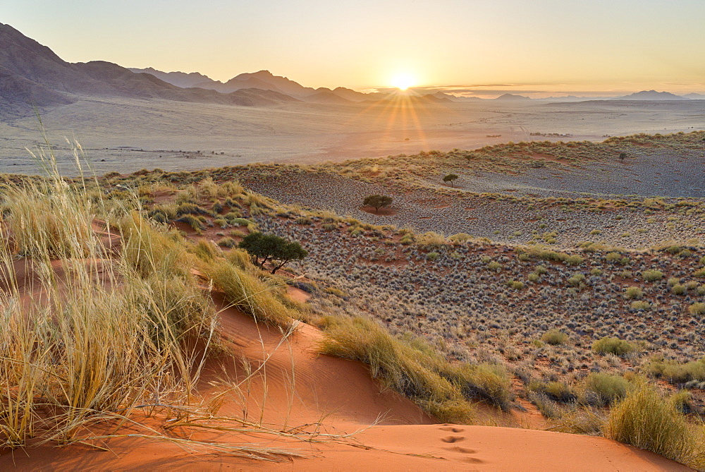 Sunrise from the dunes of NamibRand, Namib Desert, Namibia, Africa 