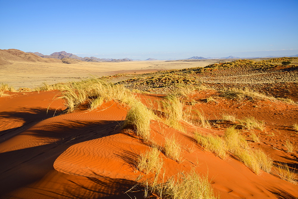 The red oxidised sand of the NamibRand dunes, Namib Desert, Namibia, Africa 