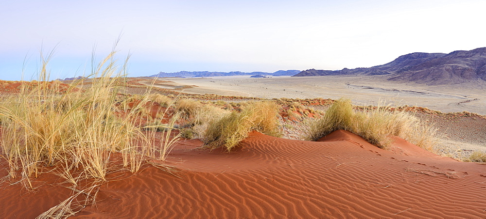 Panorama of the dunes and surrounding scenery of NamibRand at dawn, Namib Desert, Namibia, Africa 