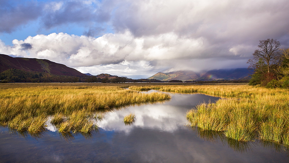 A blaze of sunshine on the shores of Derwent Water and the distant hills of Latrigg, on a showery autumn afternoon, Lake District National Park, Cumbria, England, United Kingdom, Europe