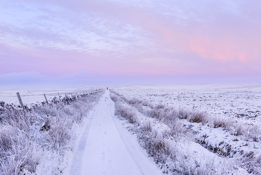 Man walking down a snowy track on a cold winter's day at dawn, Pockstones Moor, North Yorkshire, Yorkshire, England, United Kingdom, Europe