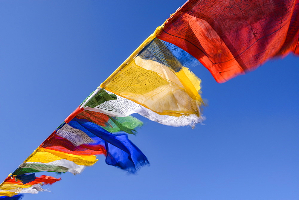 Prayer flags at Namgyal Tsemo Monastery in Leh, Ladakh, Himalayas, India, Asia