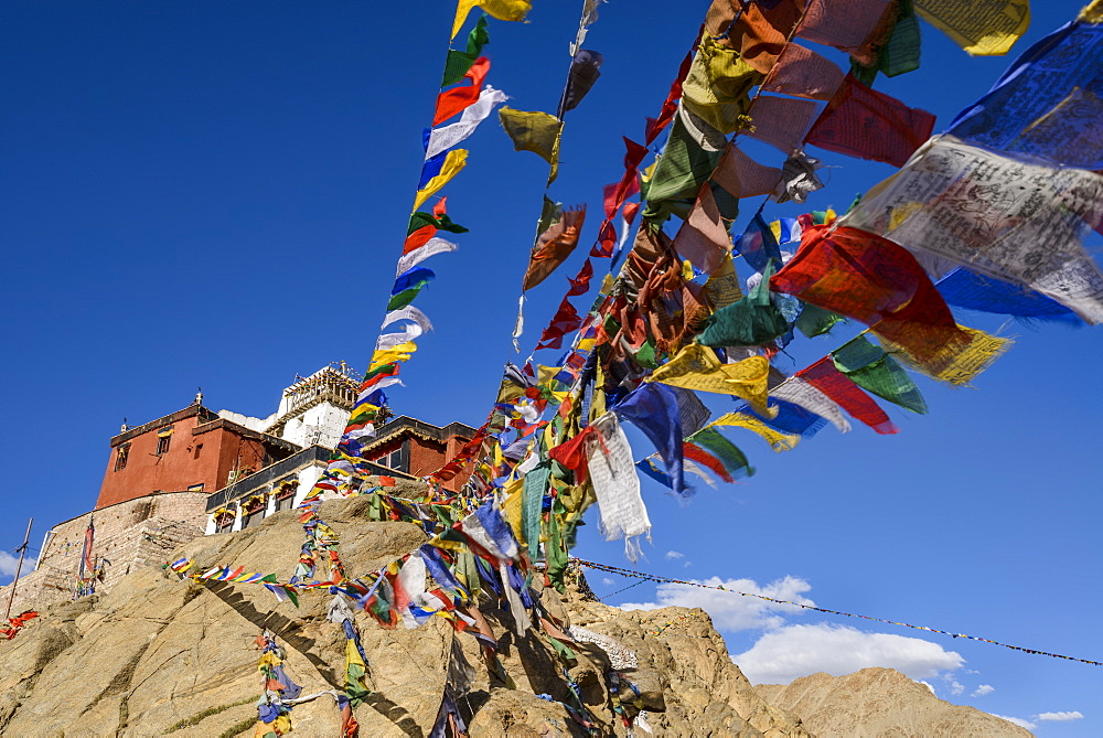 Prayer flags at Namgyal Tsemo Monastery in Leh, Ladakh, Himalayas, India, Asia