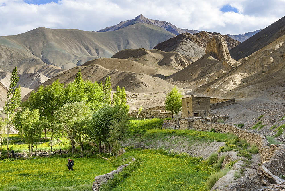 Woman and child working in the fields at the base of the mountains of Moonland, Lamayuru, Ladakh, Himalayas, India, Asia