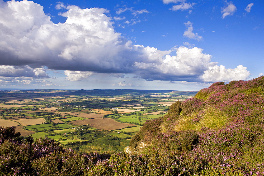 Looking towards Roseberry Topping and Cleveland from Busby Moor, North Yorkshire Moors, Yorkshire, England, United Kingdom, Europe