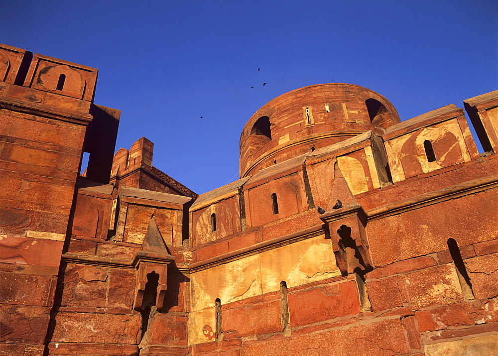 The imposing red sandstone Agra Fort with kites flying overhead, UNESCO World Heritage Site, Agra, Uttar Pradesh, India, Asia