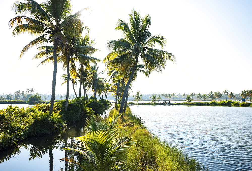 Backwaters near North Paravoor, Kerala, India, South Asia