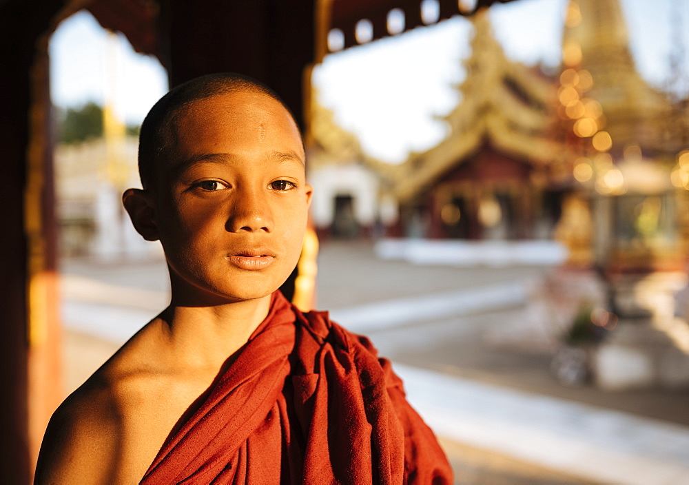 Young Buddhist monk, Bagan (Pagan), Mandalay Region, Myanmar (Burma), Asia