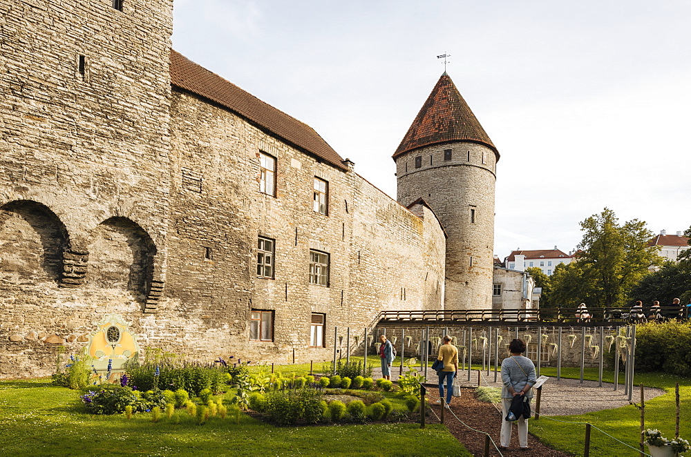 The Old City walls, Old Town, UNESCO World Heritage Site, Tallinn, Estonia, Europe