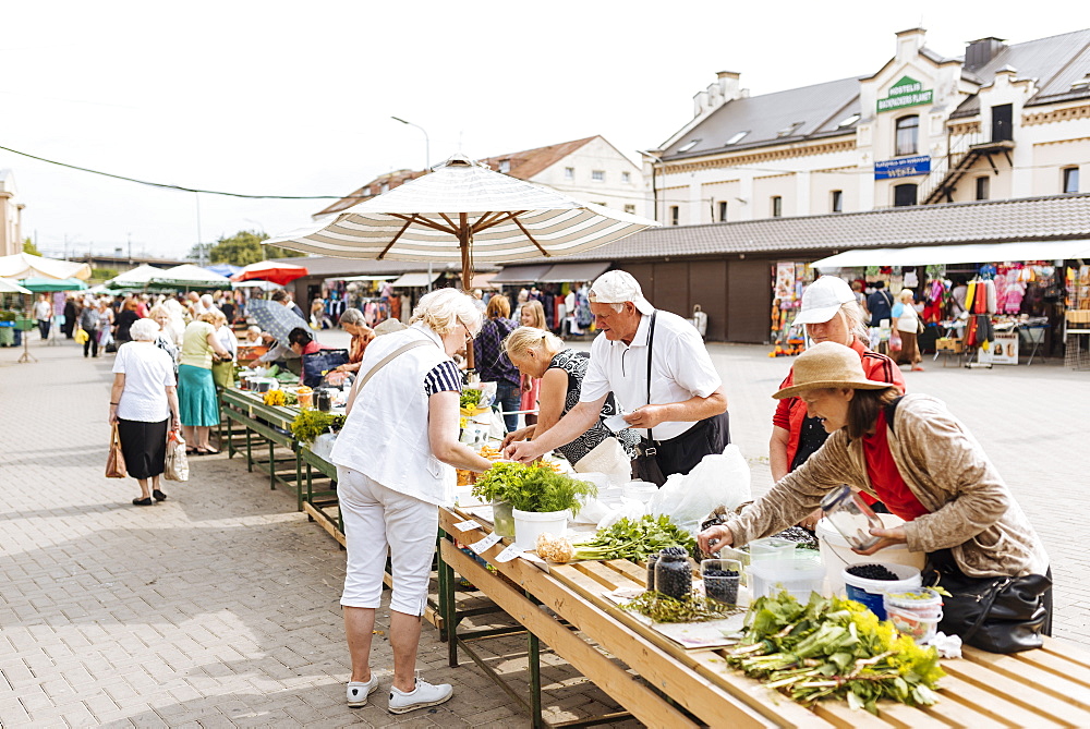 Riga Central Market, Riga, Latvia, Baltic States, Europe