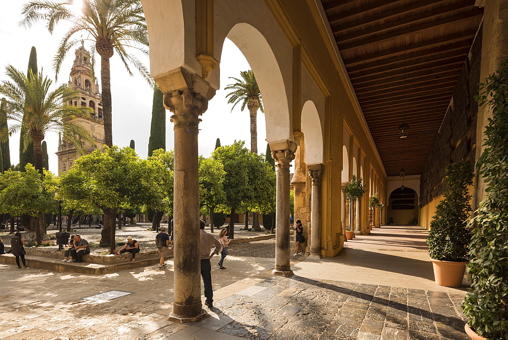 The Great Mosque (Cathedral of Our Lady of the Assumption) (Mezquita) of Cordoba, UNESCO World Heritage Site, Cordoba, Andalucia, Spain, Europe