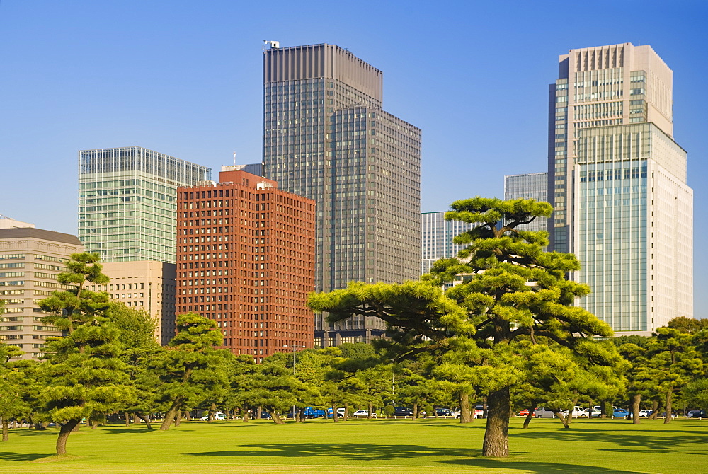 View of City Centre from Imperial Plaza, Tokyo, Japan, Asia