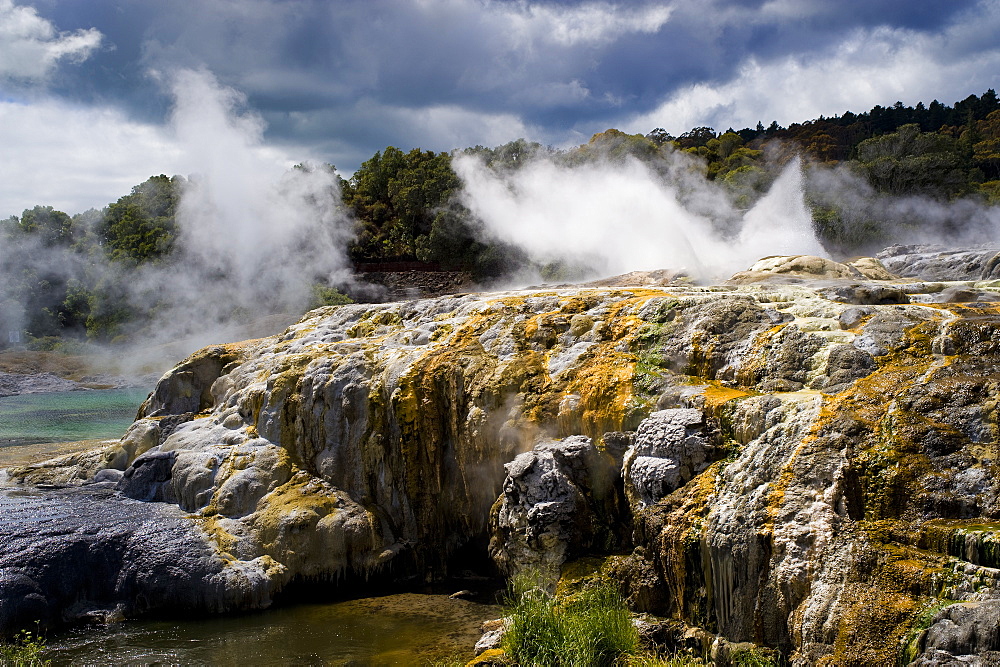 Whakarewarewa Thermal Reserve, North Island, New Zealand, Pacific