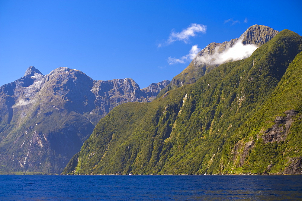 Milford Sound, Fiordland National Park, UNESCO World Heritage Site, South Island, New Zealand, Pacific