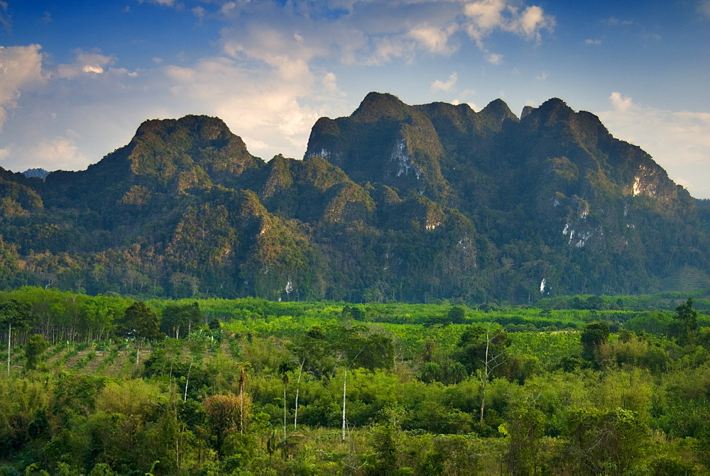 Khao Sok National Park, Surat Thani Province, Thailand, Southeast Asia, Asia